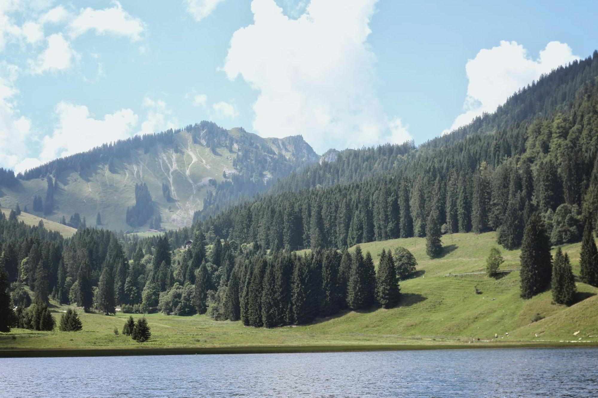 Ferienwohnung "Seeruhe" - Berge, See Und Natur Am Spitzingsee Шлирзее Екстериор снимка